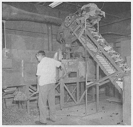 Sylvania Production Line - Tube Crushing Machine